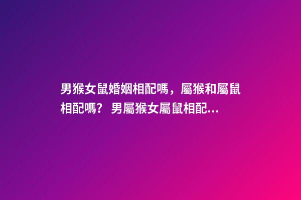 男猴女鼠婚姻相配嗎，屬猴和屬鼠相配嗎？ 男屬猴女屬鼠相配嗎-第1張-觀點-玄機派